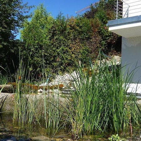 N1 Standalone House Baden Διαμέρισμα Hertenstein Εξωτερικό φωτογραφία