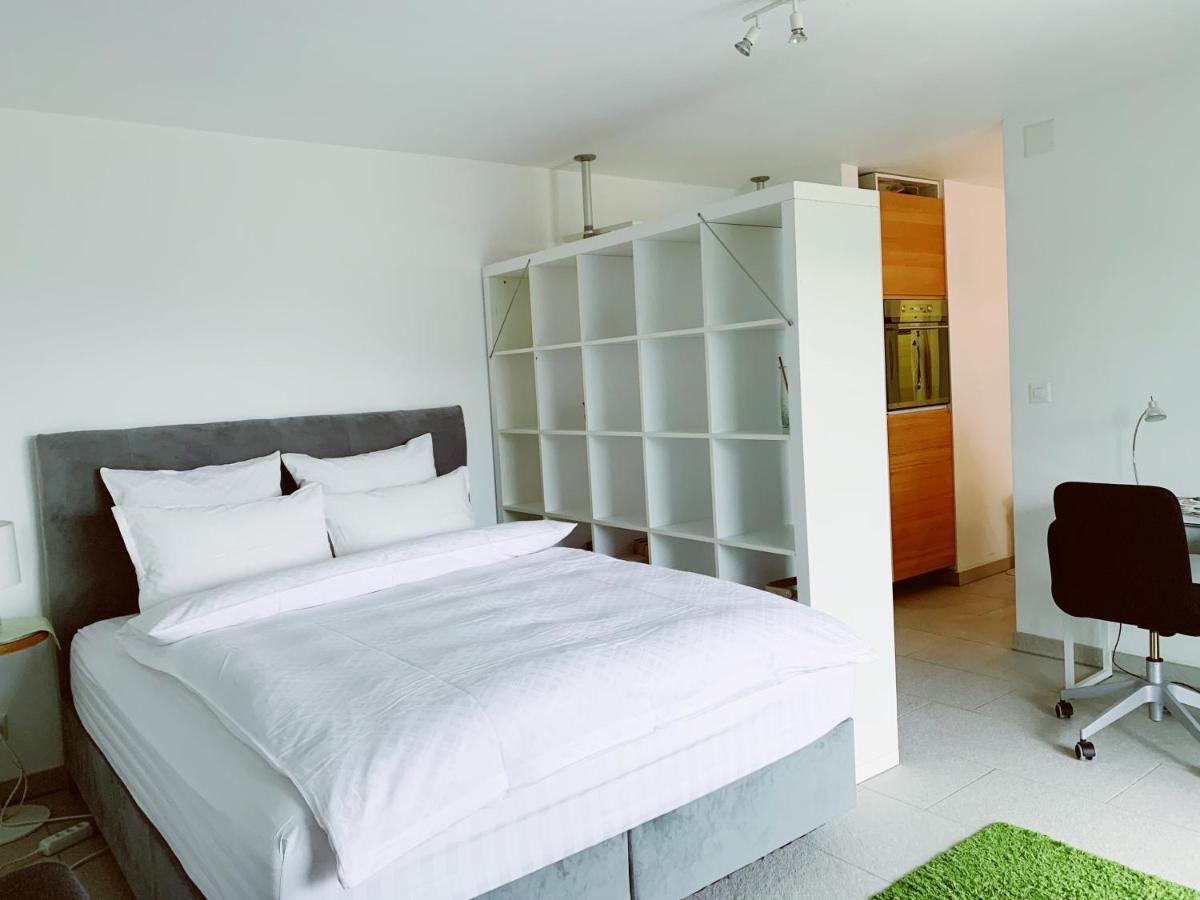 N1 Standalone House Baden Διαμέρισμα Hertenstein Εξωτερικό φωτογραφία
