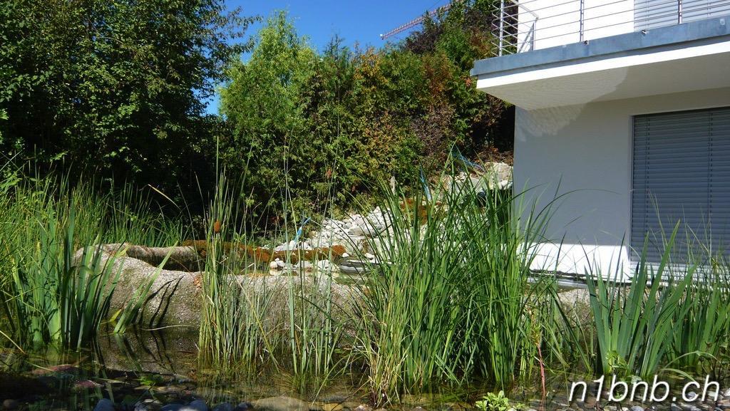 N1 Standalone House Baden Διαμέρισμα Hertenstein Εξωτερικό φωτογραφία